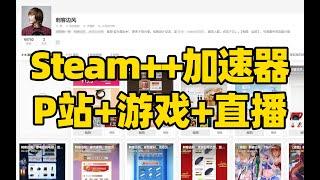 【902】刺客边风！Steam++1 14版，电脑免费加速器！联机网络游戏商店创意工坊、P站Pixiv、Discord、Twitch直播、Github、Google验证码！