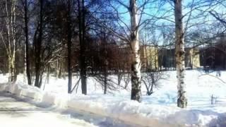 НОВЫЕ ЛЯДЫ -  зима