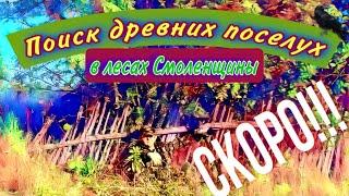 Скоро, смотреть всем! Лесной коп по старине, в Смоленской обл. Поиск древних хуторов, в глуши леса.