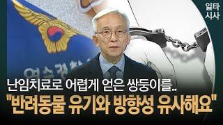 난임치료로 어렵게 얻은 쌍둥이를... "반려동물 유기와 방향성 유사해요"