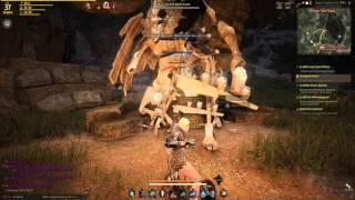 Black Desert Online: Ruins Guard Tower