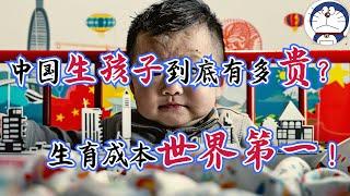 方脸说：中国生育成本世界第一！生育率倒数第二！中国人为什么不生孩子了？在中国生一个孩子到底要花多少钱？难以负担的养育成本！