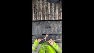 Mid-line clove hitch.