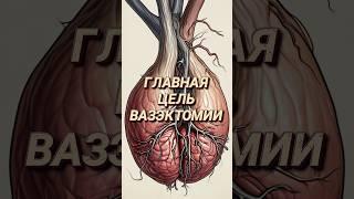 Главная цель вазэктомии #доктор #врач #уролог #каримов #аденома #простата #вазэктомия