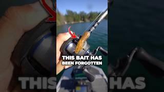This Forgotten Bait STILL Crushes Bass! #fishing