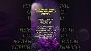 Для желанных гостей #аннаwitchтаро #заговоры #магия
