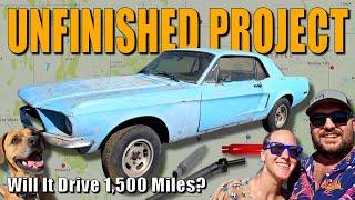 Abandoned MUSTANG IN PIECES, Assembled After 20 Years! WILL IT RUN?