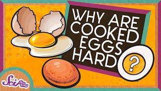 Why Does Cooking Eggs Make Them Hard? | The Science of Cooking | SciShow Kids