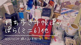 【手帳】持ち歩きのミニ6手帳ぱらぱら(書き込みたくなる計画帳込み)【手帳と日記の購入品紹介有】