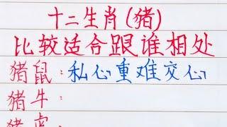 十二生肖，豬，比較適合跟誰相處？（內容僅供參考）＃十二生肖#文字#人生感悟#人生之道#正能量#情感#老人言#勵志#硬筆#詩#智慧＃知足＃人生＃福氣＃富＃財運＃旺＃夫妻＃傳統文化＃格局#感情#命運＃聰明