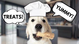 How To Make Homemade Dog Treats!