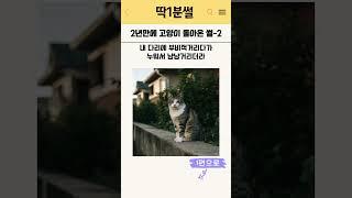 2년만에 고양이 돌아온 썰-2 #썰 #유머 #썰라디오