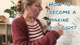 How to become a marine biologist