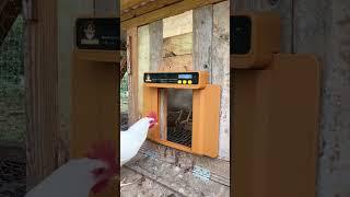 Tired of the daily chore of opening and closing your chicken coop door? Get the best automatic door