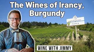 Introducing the Wines of Irancy, Burgundy