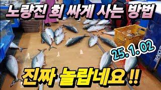 노량진 수산 어시장 방어 이거 다 어떡해? 난리 난상황! 1.02 최신 정보! 횡재 가격에 꼭 드세요! Korean fish market channel