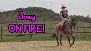 Joey ON FIRE  Reiter in PANIK!