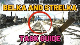 Belka and Strelka Task Guide - Customs - Escape from Tarkov #escapefromtarkov #tarkov