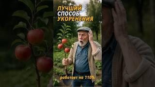 Как укоренить любой черенок! РАБОТАЕТ на 110% #огород #дача