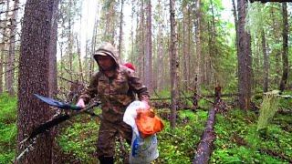 В ТАЁЖНУЮ ГЛУШЬ. СОБРАТЬСЯ с МЫСЛЯМИ и ОТДОХНУТЬ ДУШОЙ. Часть первая.