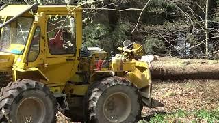 Kleinauftrag im Privatwald