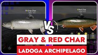 RUSSIAN FISHING 4 - LADOGA ARCHIPELAGO - WACKY RIG AND CHAR HUNT