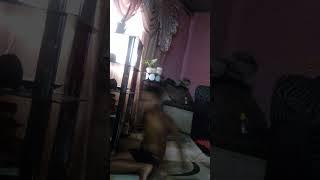 live a like and sabscrib