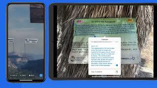 How to use Live Text & Visual Look Up in the Photos App for iPad & iPhone...