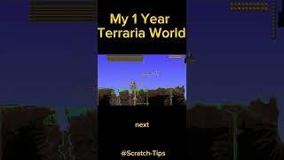 My 1 Year Terraria World #gaming #terraria