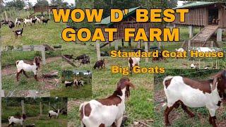 Best Goat Farm in Mindanao sa Nabisita Namin