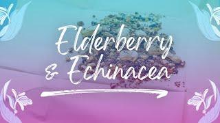 Elderberry & Echinacea tea | Pukka Herbs