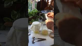GINGER BUG RECIPE . #gingerbug
