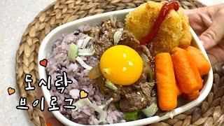 남편도시락️조리 난이도⭐️ 맛은 ⭐️⭐️⭐️⭐️⭐️(규동)소고기덮밥 도시락 l 도시락브이로그 l 직장인도시락 l 한국도시락