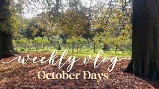 Autumn Days, Shopping & Pumpkin Picking  | WEEKLY VLOG