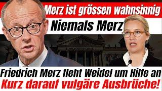  Alice Weidel lehnt Friedrich Merz ab – Kurz darauf vulgäre Ausbrüche!