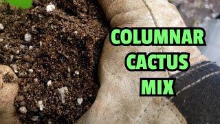 Columnar Cactus Mix for potted cacti