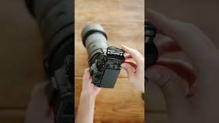 Sony A7IV + Tamron 150-500mm f/5-6.7 Di III VXD ASMR