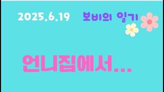 2025.6.19 보비의 일기: 보비가  언니 집에서 생긴 에피소드 #영상일기