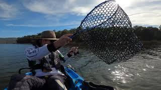 Harvey Dam Fishing