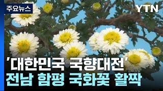 가을 분위기에 '흠뻑'...함평에서 즐기는 국향대전 / YTN