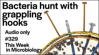 TWiM 329: Bacteria hunt with grappling hooks