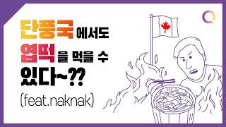[프로젝트퀘스천Xnaknak] 해외경험나눔 매거진 PAPERPLANE