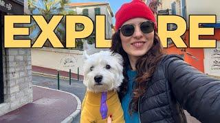 Why Did My Dog Pee On The Bed? | Exploring Dog-Friendly France with My Westie [VLOG]