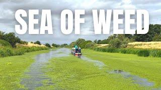 NARROWBOAT Versus The WEED | River Witham To Woodhall Spa Ep 34