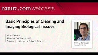 Basic Principles of Clearing and Imaging Biological Tissues