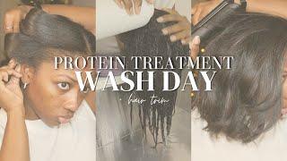 Protein Treatment Wash Day | Niara Alexis