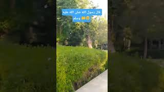 قال رسول الله صلى الله عليه وسلم  #اكسبلور