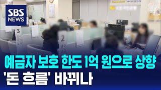 예금자 보호 한도 1억 원으로 상향…'돈 흐름' 바뀌나 / SBS