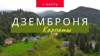 ДЗЕМБРОНЯ. КАК СЮДА ДОБРАТЬСЯ? ОТДЫХ В КАРПАТАХ ЛЕТОМ 2021