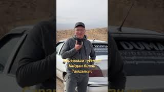 Тамды Бұлағым